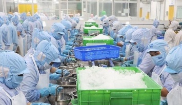 Xây dựng hệ sinh thái hỡ trợ doanh nghiệp đón sóng các hiệp định thương mại tự do