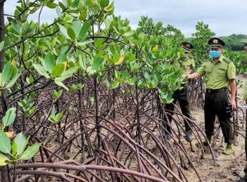 Quảng Ninh xây dựng chính sách đặc thù về lĩnh vực nông nghiệp