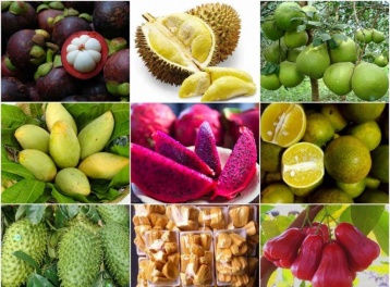 Thêm quy định mới cho nông sản xuất khẩu sang thị trường Trung Quốc