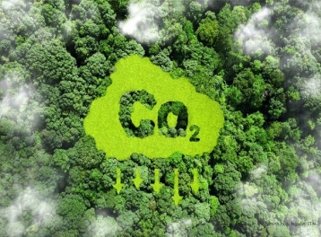 Cuối năm 2025, dự kiến vận hành thử nghiệm sàn giao dịch carbon