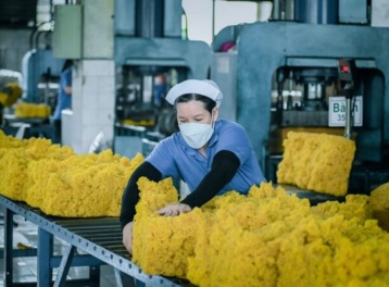 Ngành cao su Việt dự kiến đạt 11,6 tỷ USD trong năm 2025