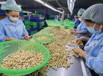 Thách thức 'xanh hóa' và giải pháp tăng trưởng xuất khẩu cao, bền vững