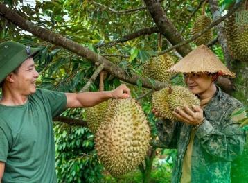 Thí điểm truy xuất nguồn gốc sầu riêng - mặt hàng xuất khẩu chủ lực của nông nghiệp Việt Nam