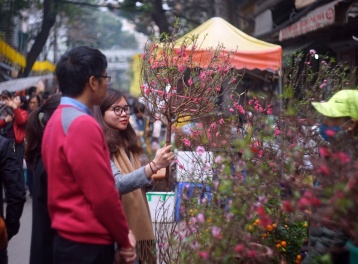 Bộ Công Thương yêu cầu đảm bảo nguồn cung hàng hóa, bình ổn thị trường dịp Tết Bính Ngọ