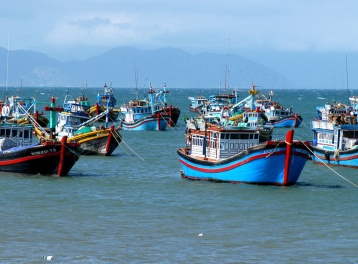 Kiên quyết gỡ 'Thẻ vàng', bảo vệ uy tín quốc gia và sinh kế bền vững cho ngư dân