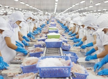 Top 10 doanh nghiệp xuất khẩu thủy sản lớn nhất năm 2025