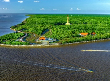 Huy động hiệu quả nguồn lực, phát huy tiềm năng, lợi thế - Động lực đưa Cà Mau phát triển nhanh và bền vững trong kỷ nguyên mới 