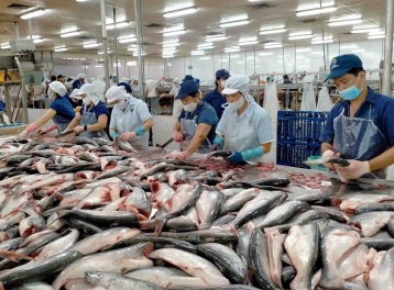 Xuất khẩu cá tra và surimi  - 'chìa khóa' bứt phá thị trường năm 2026