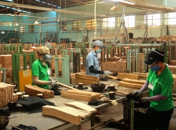 Ngành gỗ Việt Nam và bài toán thích ứng trước lộ trình EUDR