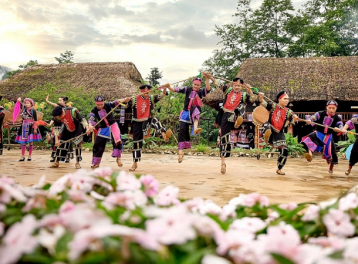 Gợi ý những điểm du xuân miền Bắc dịp Tết Bính Ngọ 2026