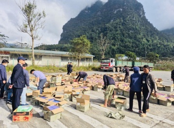 Phát hiện đường dây buôn lậu thuốc lá điện tử kỷ lục, đặc biệt nghiêm trọng