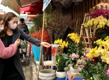 Dự báo thời tiết ngày 14/2: Bắc Bộ sáng sớm có sương mù nhẹ rải rác, mưa nhỏ vài nơi