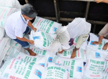 Xuất khẩu phân bón tăng hơn 70% ngay tháng đầu năm 2026