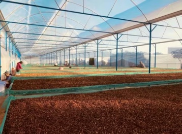 Xuất khẩu nông sản khởi sắc đầu năm 2026, mở rộng triển vọng tăng trưởng