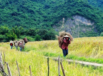 Tấm “Hộ chiếu” OCOP giúp đặc sản vùng sơn cước xứ Thanh vươn xa
