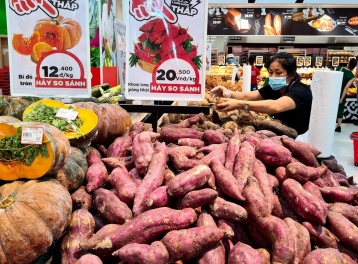 Người Nhật chi hơn 6.000 tỷ đồng mua rau quả Việt: Hoa cúc, chuối và khoai lang chiếm ưu thế