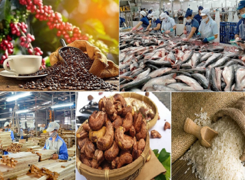 Nông sản Việt hướng tới mục tiêu xuất khẩu 100 tỷ USD