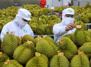 Nông lâm thủy sản tăng tốc ngay đầu năm, củng cố mục tiêu 75 tỷ USD