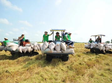 Nông sản Việt đối mặt 'thử thách kép', Thủ tướng ra chỉ đạo khẩn