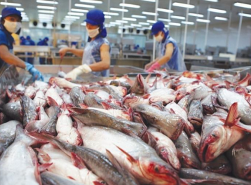 Bất chấp biến động toàn cầu, xuất khẩu thủy sản hướng tới mục tiêu 11,5 tỷ USD