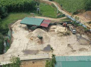 Hoá Quỳ (Thanh Hoá): Yêu cầu cơ sở chế biến gỗ vi phạm dừng hoạt động