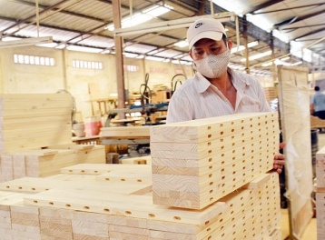 Chuyển đổi vật liệu xanh là “tấm vé” bắt buộc để ngành gỗ bứt phá