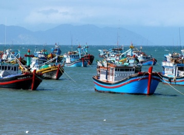 Tập trung triển khai Hệ thống eCDT: Giải pháp then chốt để gỡ “thẻ vàng” IUU