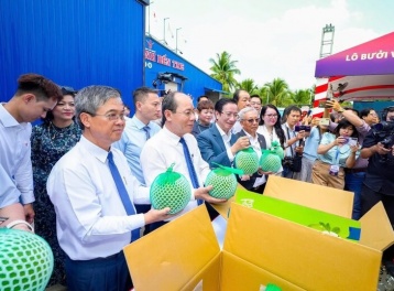 Việt Nam xuất khẩu chính ngạch lô bưởi da xanh đầu tiên sang Australia