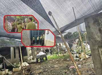 Thanh Hóa: Thu giữ 122 cây muội hồng không rõ nguồn gốc tại nhà dân