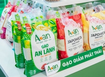 Xây dựng nhãn hiệu “Gạo Việt Xanh phát thải thấp”, nâng tầm hạt gạo Việt
