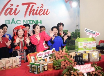 Chất lượng và chuyển đổi số là “giấy thông hành” cho vải thiều Bắc Ninh