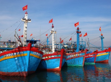 Phạt tối đa 2 tỷ đồng với hành vi vi phạm hành chính lĩnh vực thủy sản