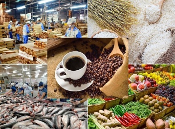 Xuất khẩu nông lâm thủy sản đạt gần 36 tỷ USD trong nửa đầu năm 