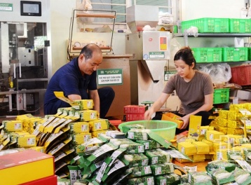 Đổi mới sáng tạo và AI là chìa khóa nâng tầm thương hiệu sản phẩm công nghiệp nông thôn