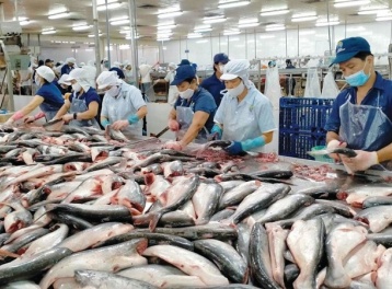Xuất khẩu thủy sản khởi sắc, hướng tới mục tiêu 12 tỷ USD
