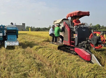 Thúc đẩy lúa gạo phát thải thấp, chìa khóa nâng tầm giá trị hạt gạo Việt