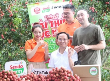 Bắc Ninh: Tiêu thụ vải thiều qua thương mại điện tử bứt phá, doanh thu đạt hơn 7.200 tỷ đồng