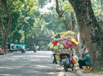 Dự báo thời tiết ngày 31/7: Bắc Bộ hửng nắng, có mưa dông về chiều tối