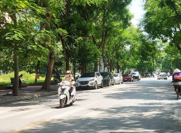 Dự báo thời tiết ngày và đêm 2/8: Bắc Bộ ngày nắng, chiều tối và đêm có mưa rào rải rác