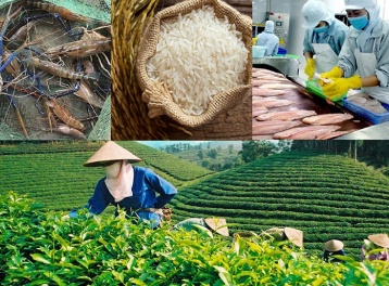 Chiến lược thúc đẩy xuất khẩu nông lâm thủy sản vượt ngưỡng 74 tỷ USD