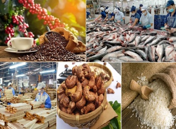 Xuất khẩu nông, lâm, thủy sản tăng trưởng ấn tượng, đạt gần 42,8 tỷ USD