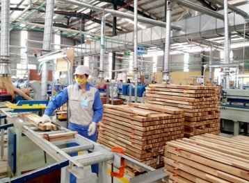 Ngành gỗ cần chuyển đổi xanh và hội nhập bền vững để nâng cao năng lực cạnh tranh