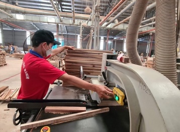 Thị trường nội địa: 'Trụ cột' tăng trưởng mới của ngành gỗ Việt
