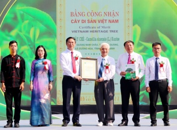 Quảng Ninh: Khai mạc lễ hội “Trà Đường Hoa” và đón Bằng công nhận Cây chè Di sản Việt Nam