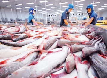 Việt Nam sẽ kiểm tra doanh nghiệp chế biến xuất khẩu thuỷ sản sang châu Âu