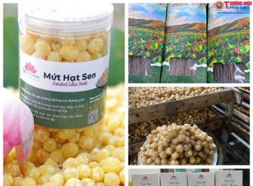 Đánh thức vùng đất trũng bằng khát vọng xây dựng thương hiệu Sen xứ Thanh