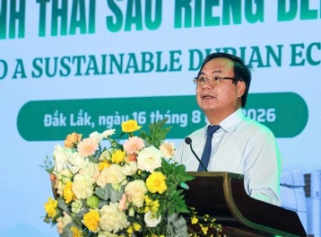 Nâng tầm giá trị sầu riêng Việt, xây dựng hệ sinh thái bền vững