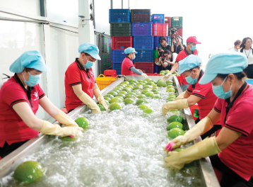 Nông, lâm, thủy sản xuất siêu lớn, khẳng định vai trò 'trụ đỡ' nền kinh tế