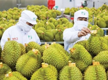 Xuất khẩu rau quả Việt Nam tăng trưởng mạnh, hướng đến mốc 10 tỷ USD
