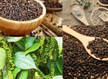 Ngành tiêu tăng tốc xuất khẩu và bài toán giữ thị phần